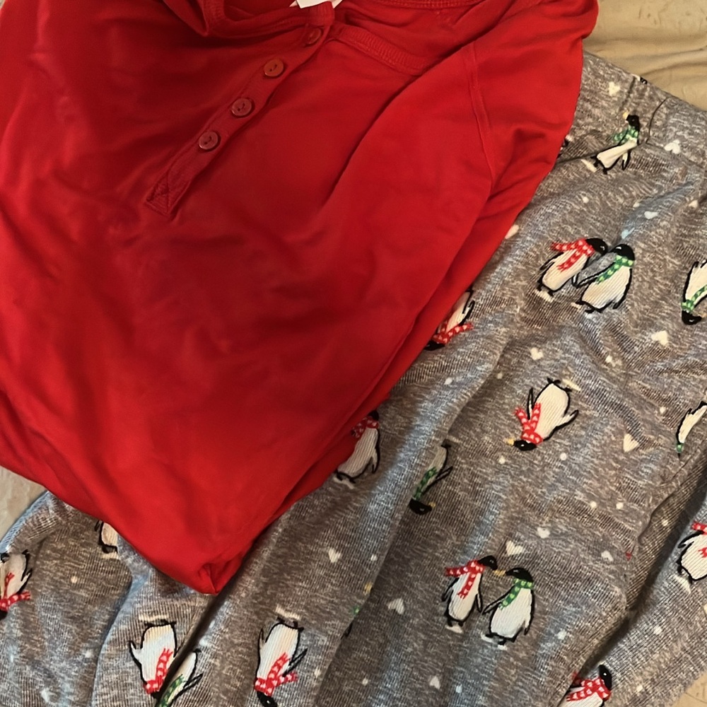 Red Top and Gray Penguin Pajama Set